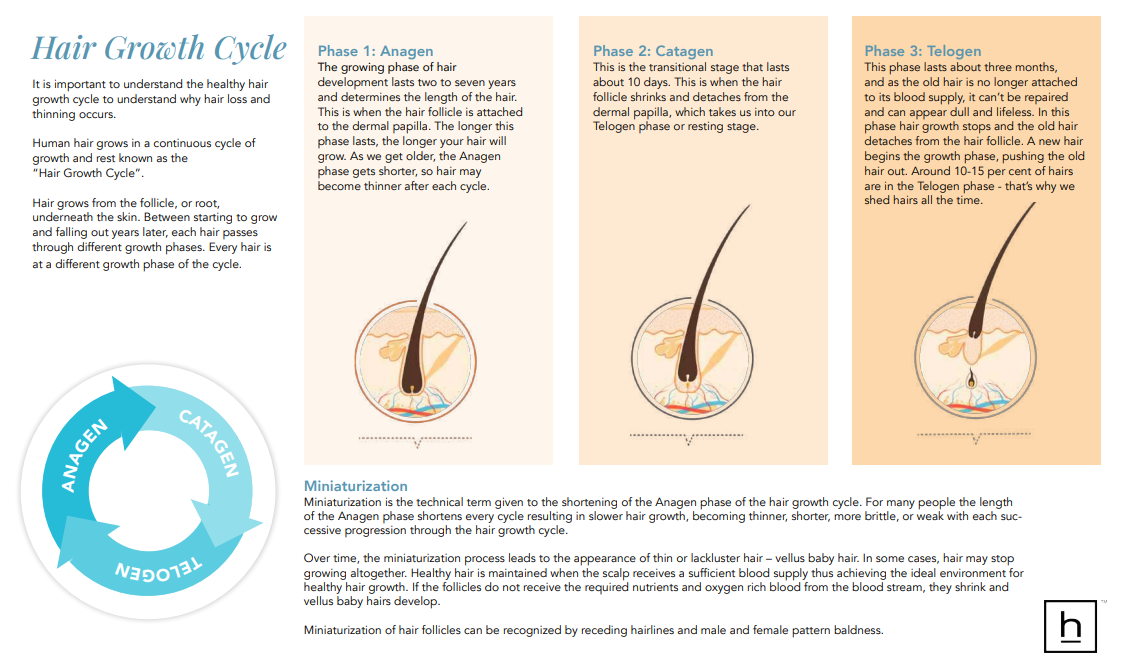 Free HairMax - Hair Growth & Wellness Guide (Digital Download)